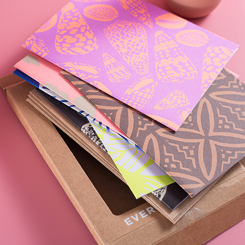 Hawaiian Cone Shell Everyday Card Pack